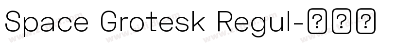 Space Grotesk Regul字体转换